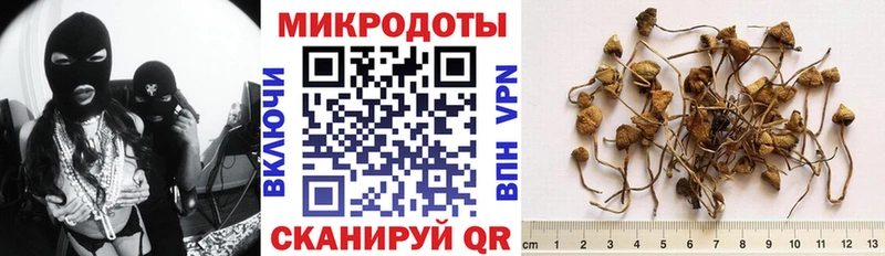 Галлюциногенные грибы GOLDEN TEACHER Кувандык