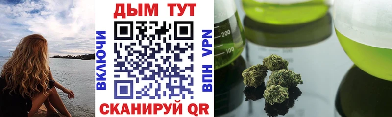 Канабис планчик  Кувандык 